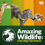 amazing wildlife graphic